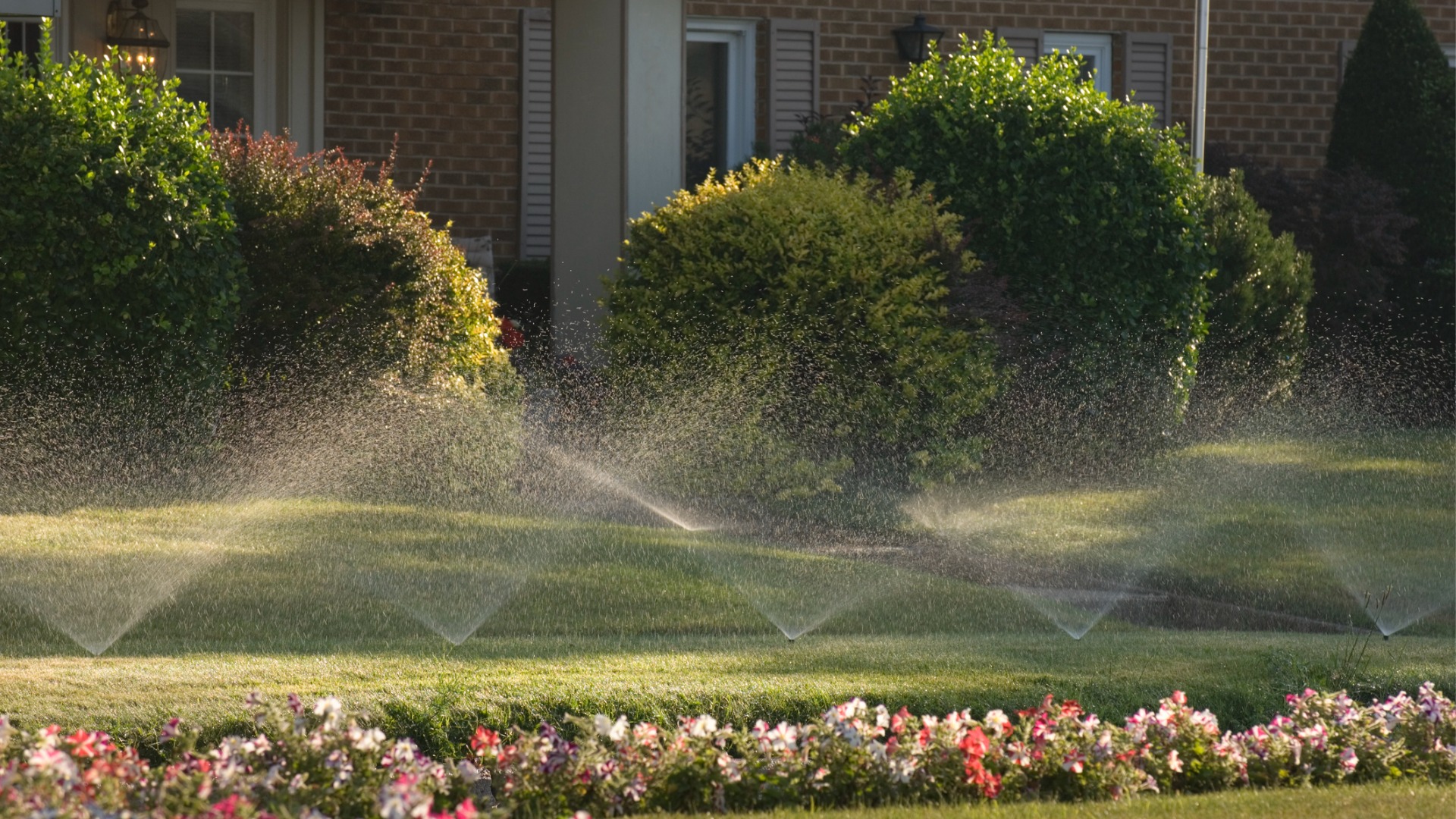 A yard being watered with new sprinklers, thanks to Irrigation Installation from Tri-County Irrigation