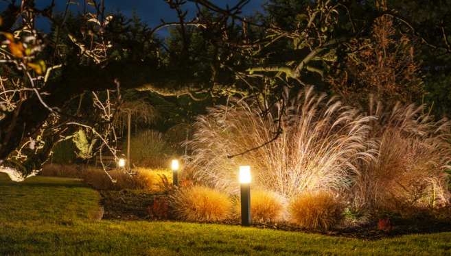 Soft glowing LED landscape lighting from TCI Companies illuminate a garden pathway lined with ornamental grasses, creating a serene atmosphere during the night.