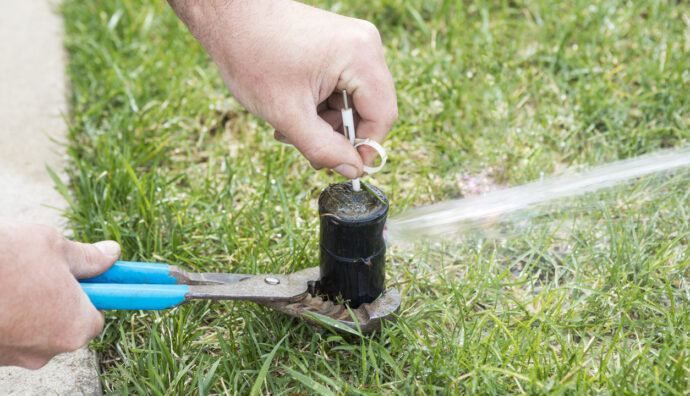 A pop-up sprinkler system head is being adjusted with a key to decrease or increase radius of the spray.