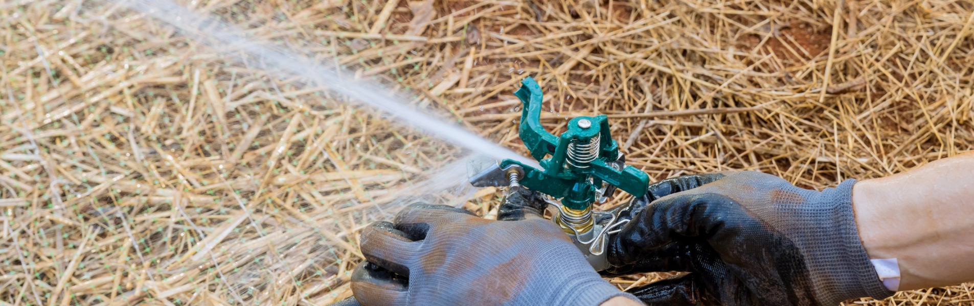 A TCI Companies technician performs irrigation repair and maintenance on a sprinkler at a home in Central Illinois.